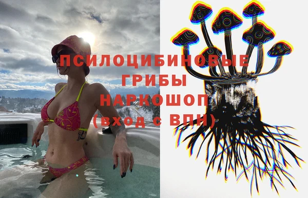 марки nbome Аркадак